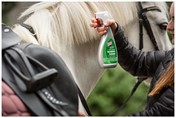 reitsport.ch